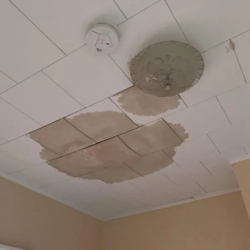 Ceiling Water Damage Repair in Renovo, PA