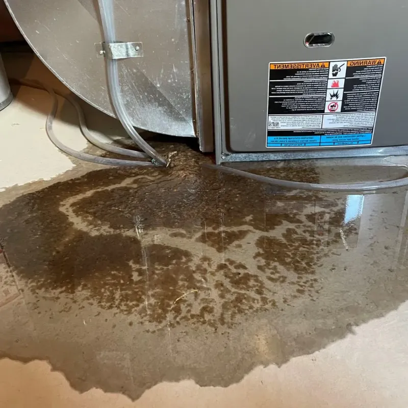 Pipe Burst and Leak Restoration in Renovo, PA
