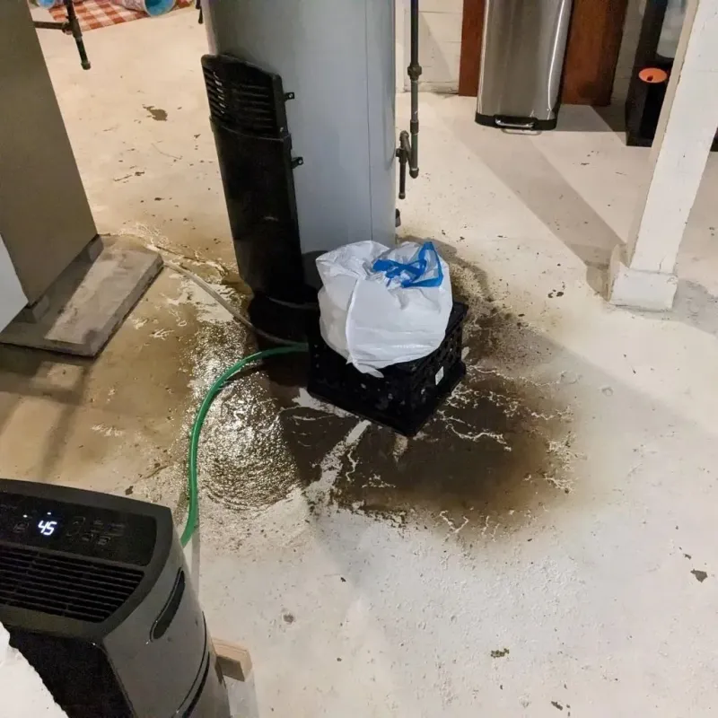 Sewage Backup Cleanup Service in Renovo, PA